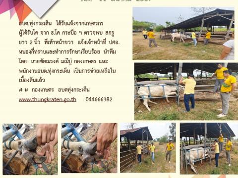 รายงานผลการดำเนินการประจำปี 2567